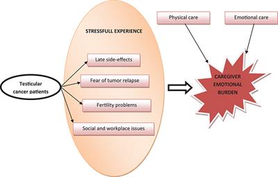 Caregiver Emotional Burden in Testicular Cancer Patients: From Patient to Caregiver Support